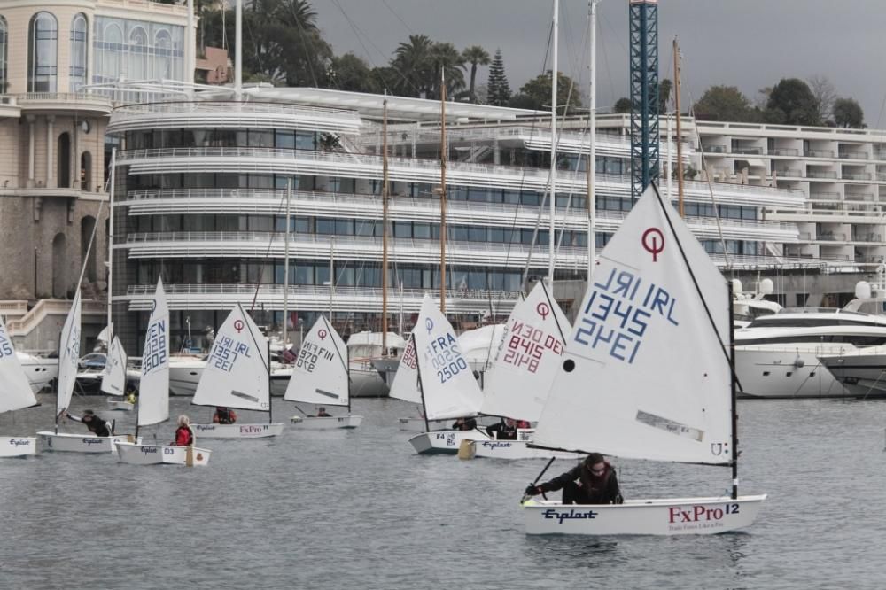 BD_MOTR-17-01-2014_Franck-Terlin-58jpg--bd_motr_17_01_2014_franck_terlin_58