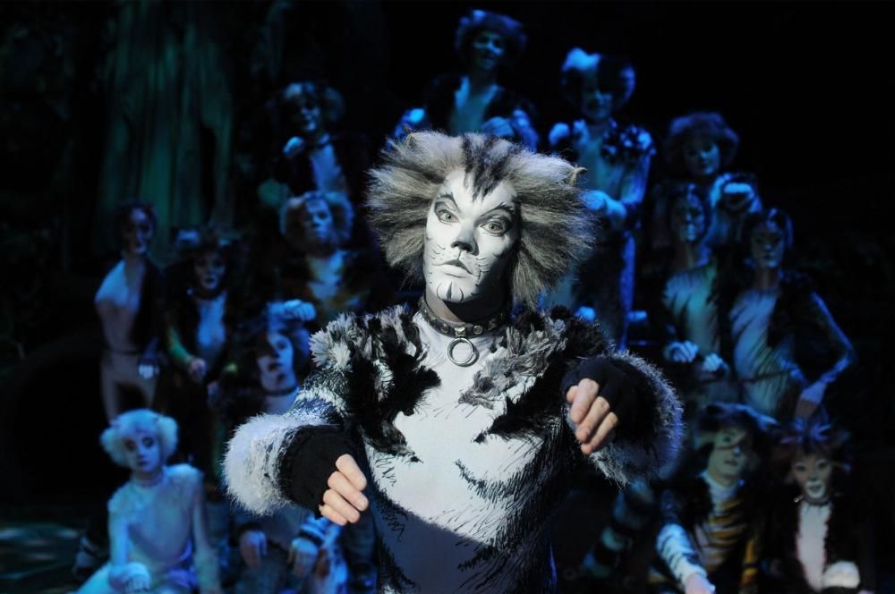 CATS_2013_0046jpg--cats___musical