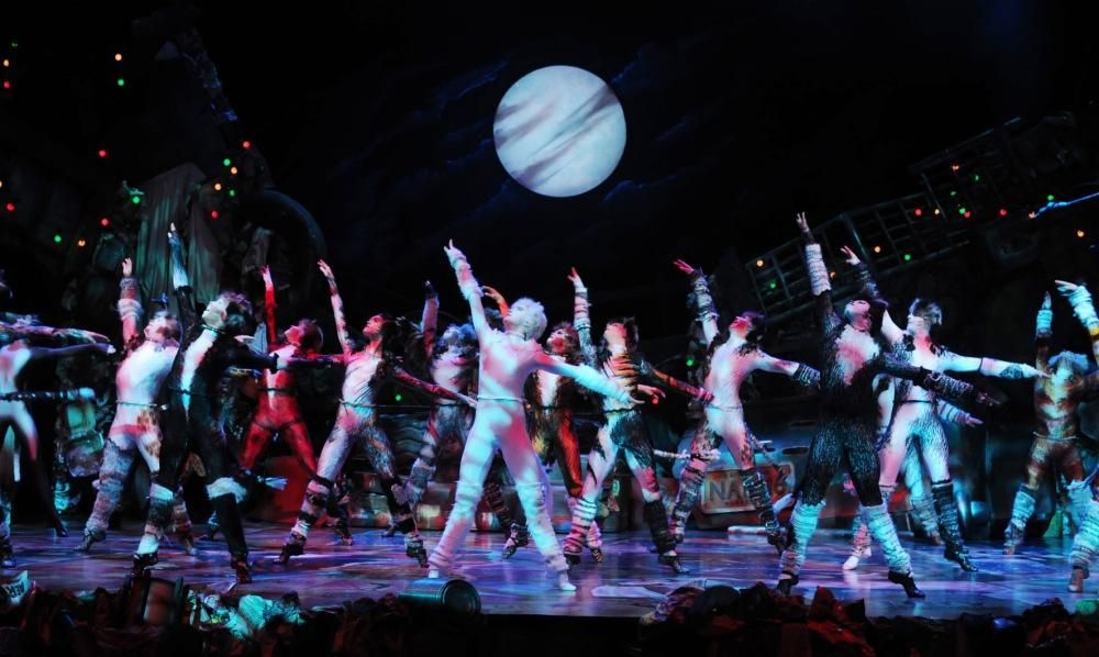 CATS_2013_0165jpg--cats___musical