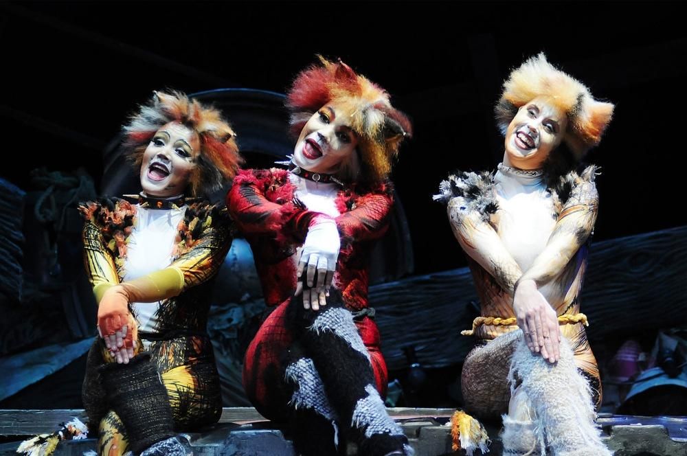CATS_2013_6968jpg--cats___musical