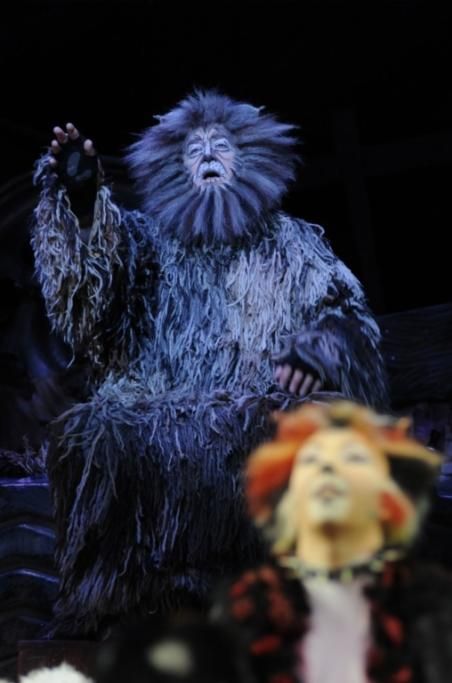 CATS_2013_7737jpg--cats___musical