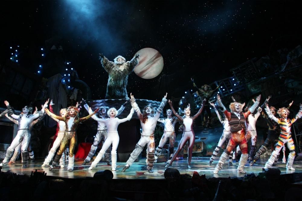 CATS_2013_7809jpg--cats___musical