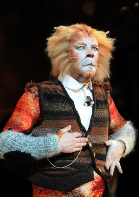 CATS_2013_8014jpg--cats___musical