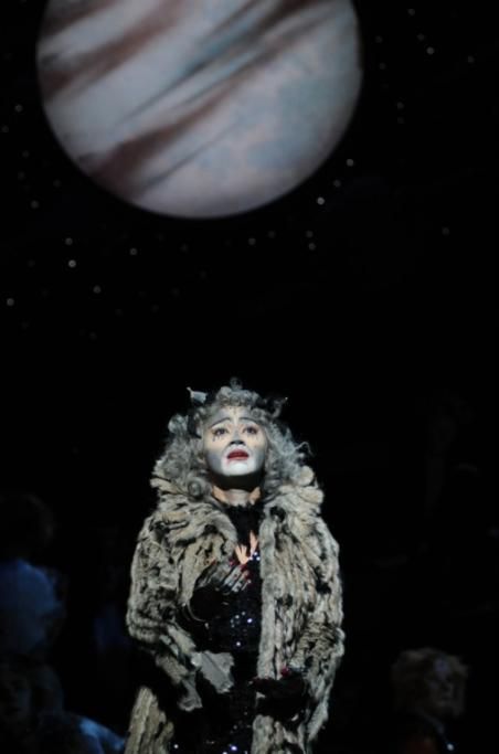 CATS_2013_8218jpg--cats___musical