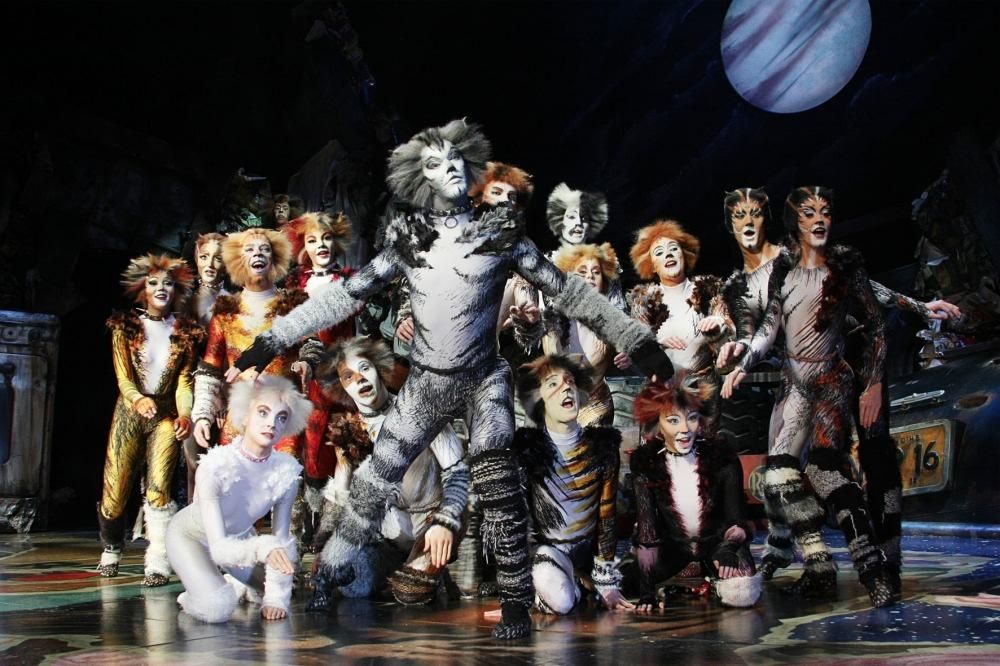 CATS_2013_8416jpg--cats___musical
