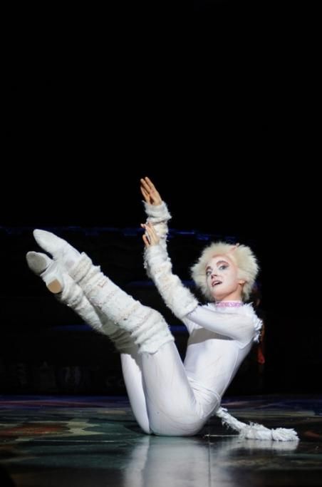 CATS_2013_9510jpg--cats___musical