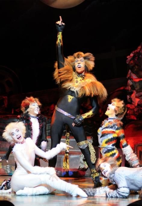 CATS_2013_9600jpg--cats___musical
