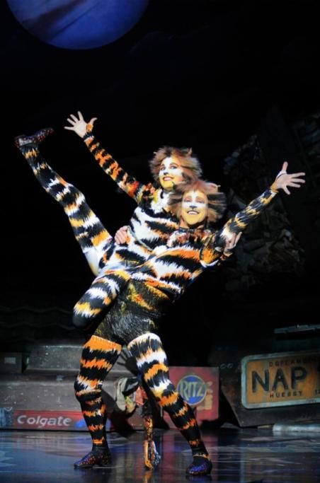 CATS_2013_9747jpg--cats___musical