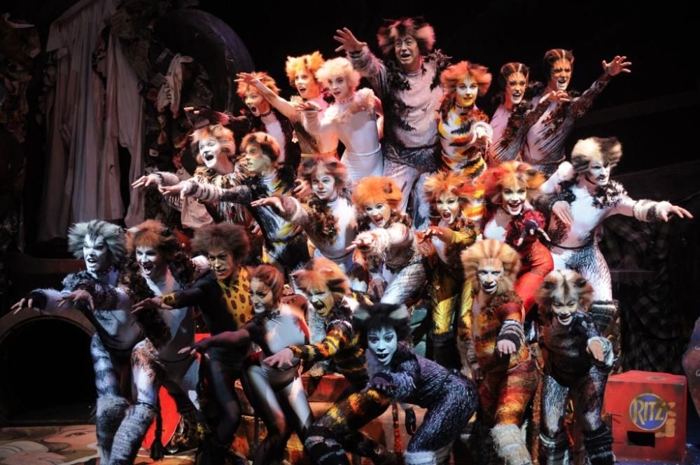 CATS_2013_98911jpg--cats___musical