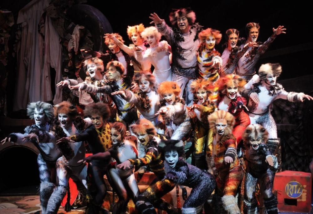 Cats