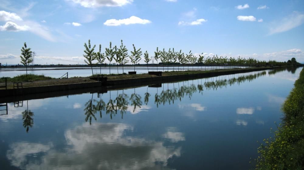 Canale_Cavour__Novara_Archivio_ATL_Novara-1594917601147jpg--