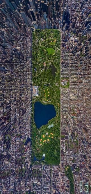Central-Park-New-Yorkjpg--central_park_new_york