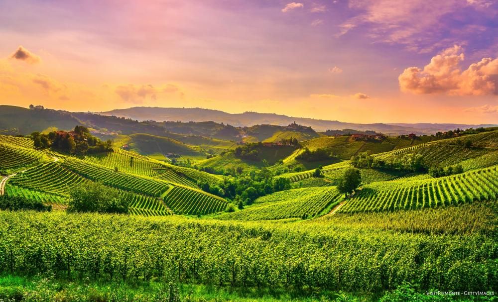 Colline_delle_Langhe_Credits_VisitPiemonte_GettyImages-1594917603915jpeg--