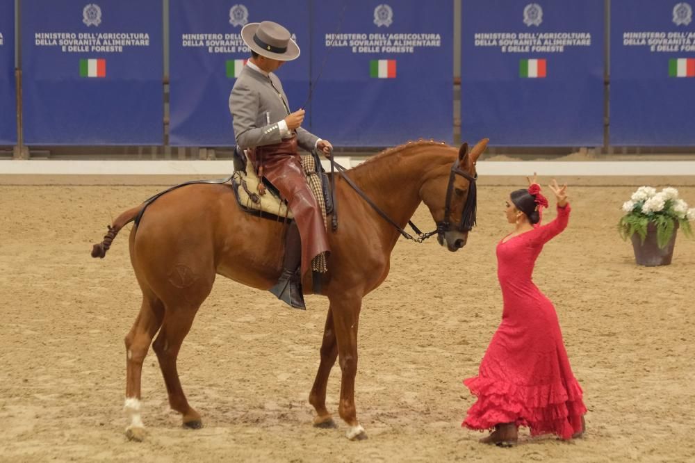 Fieracavalli2023_EnneviFoto_6099-1699868646290jpg--