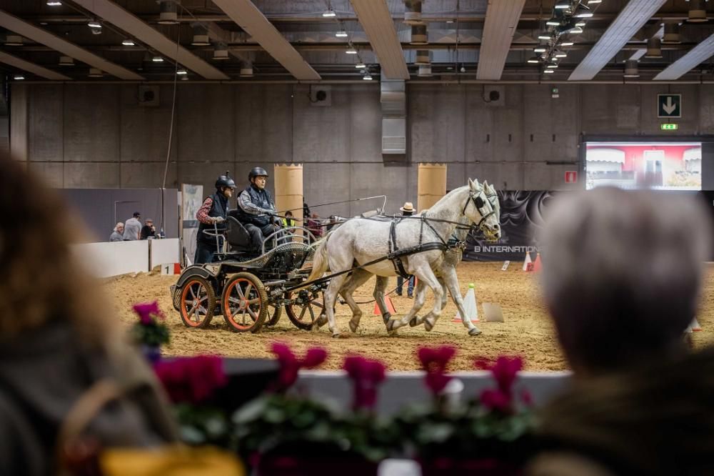 Fieracavalli2023_EnneviFoto_Veronafiere__TDP4806-Migliorato-NR-1699868643490jpg--