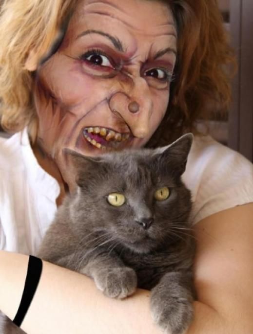 Fotom2jpg--gatto