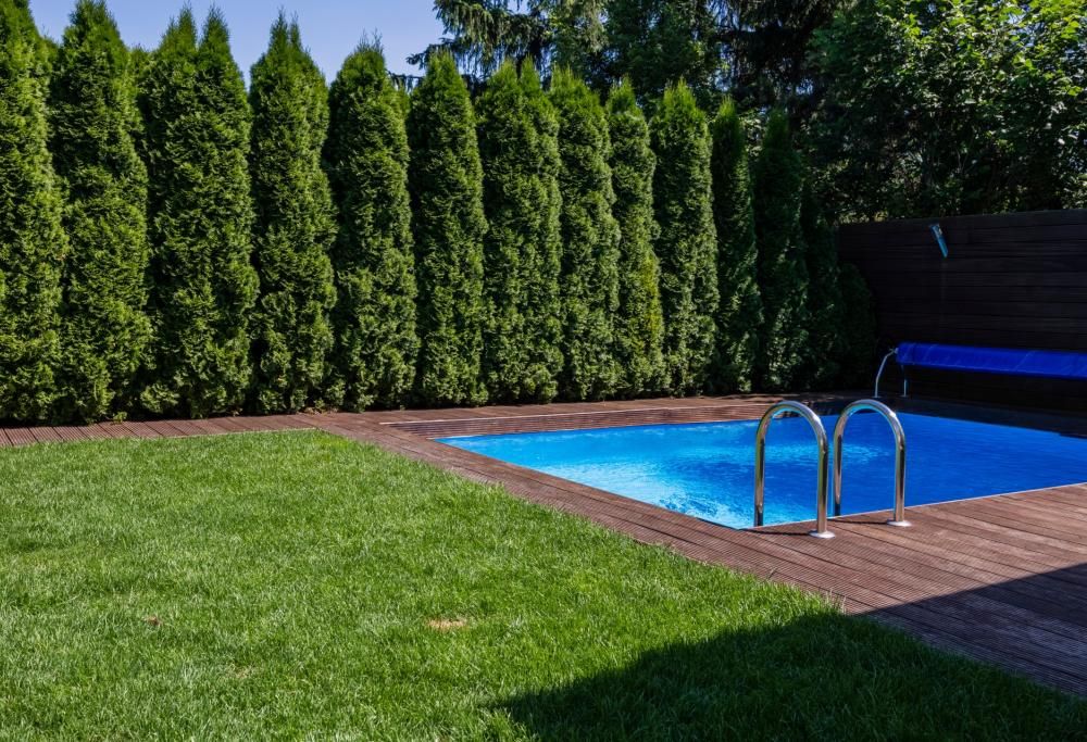 La piscina? Adesso è condivisa
