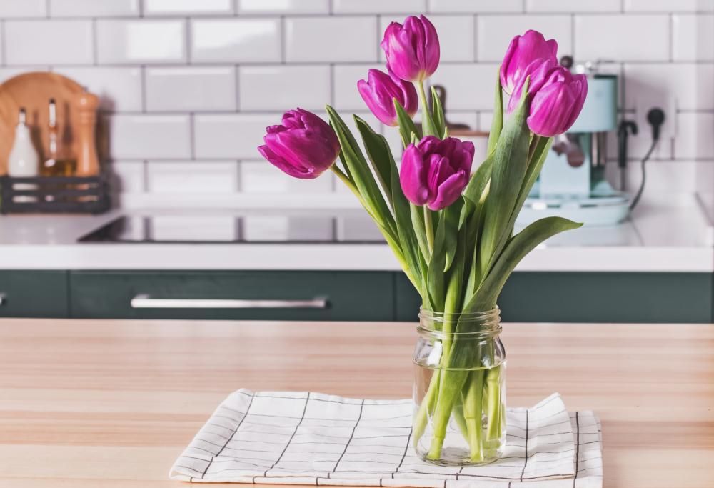 Pane e tulipani:  usciva vent’anni fa il film che invitava le donne a cercare la felicità