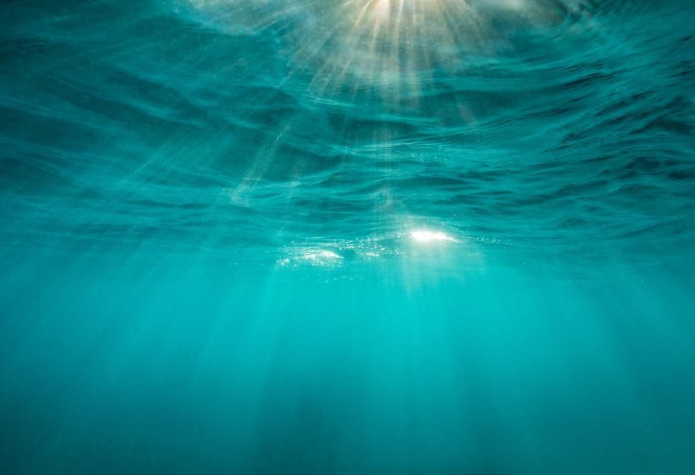 Tutta la magia dell’Oceano in murales mozzafiato