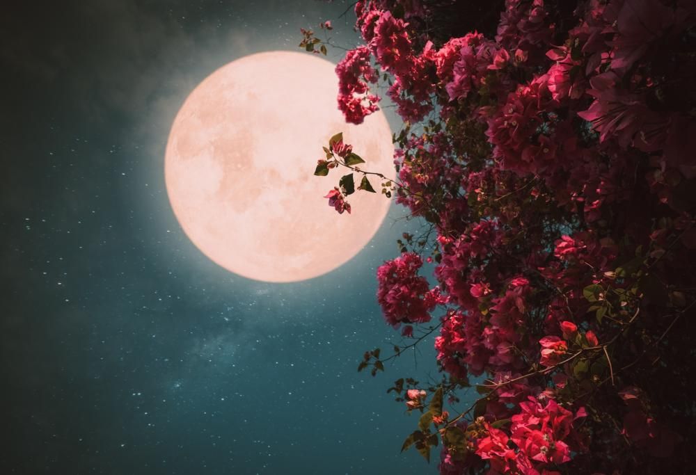 Dalla Luna rosa  all’eclissi ibrida, gli spettacoli nel cielo d’aprile