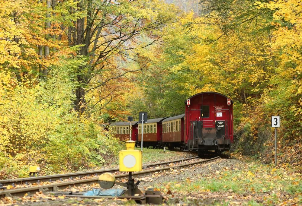 Tutto il fascino dei treni del foliage