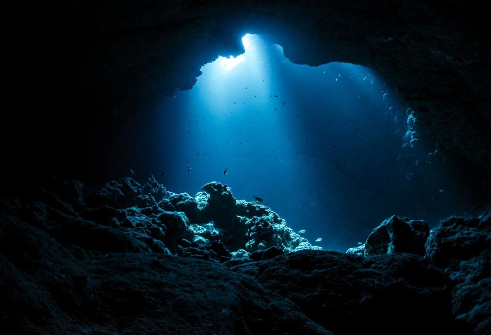 Alla ricerca del suono del mare