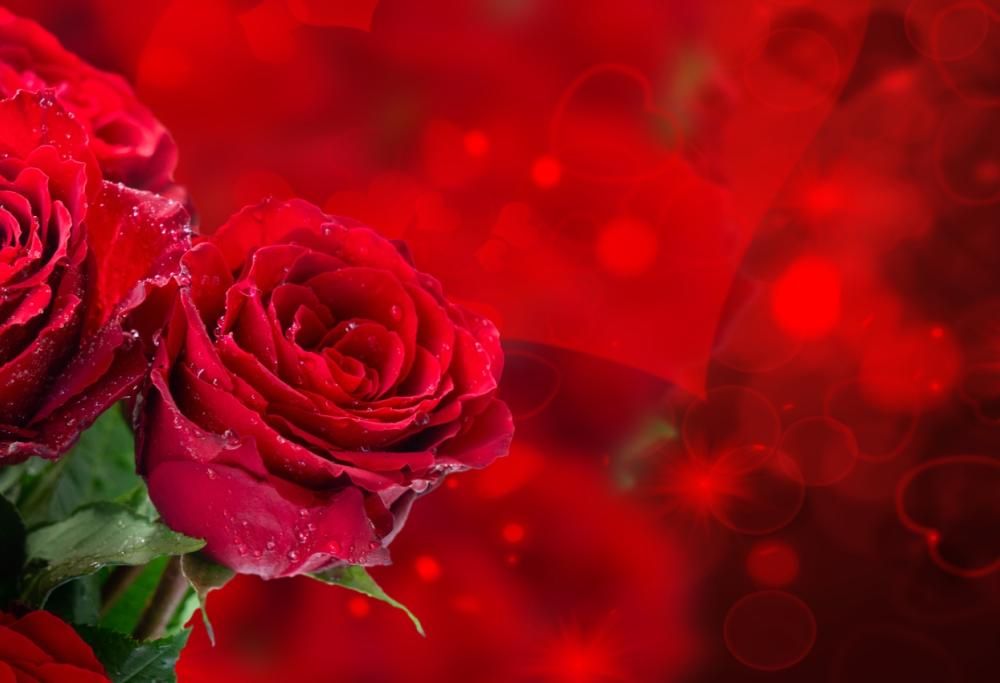 San Valentino Love Songs: le più belle canzoni d’amore sono su Radio Monte Carlo