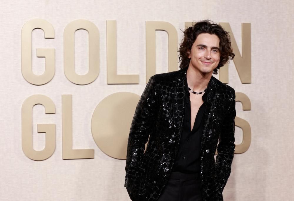 Timothée Chalamet non ha mai incontrato Bob Dylan