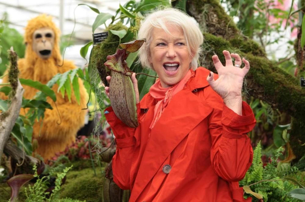 Helen-Mirren-INF-OPHOTOjpg--