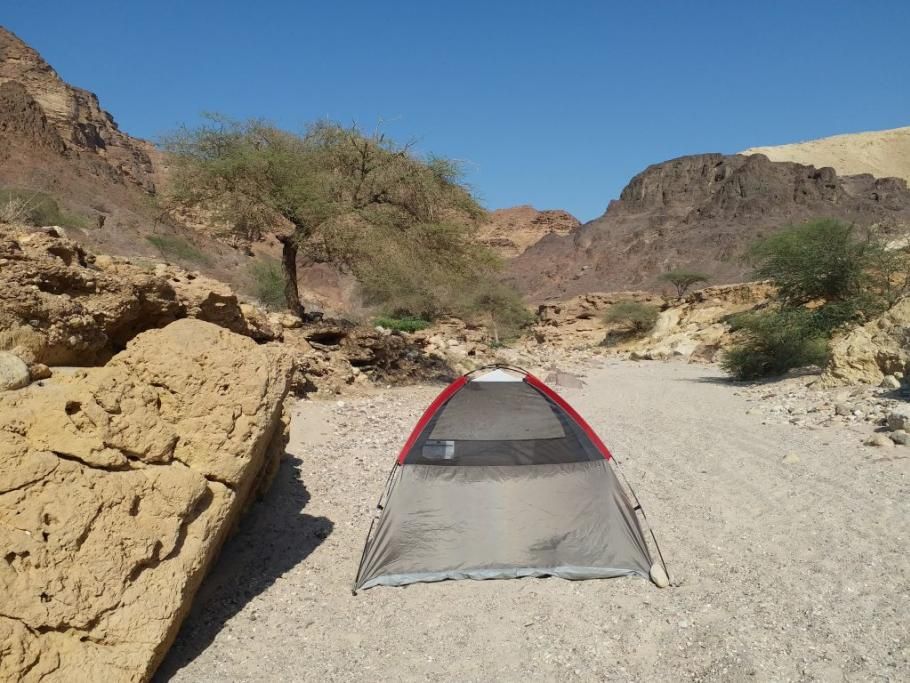 Il_campo_all_imbocco_di_Wadi_Aheimreb-1569917755629jpg--