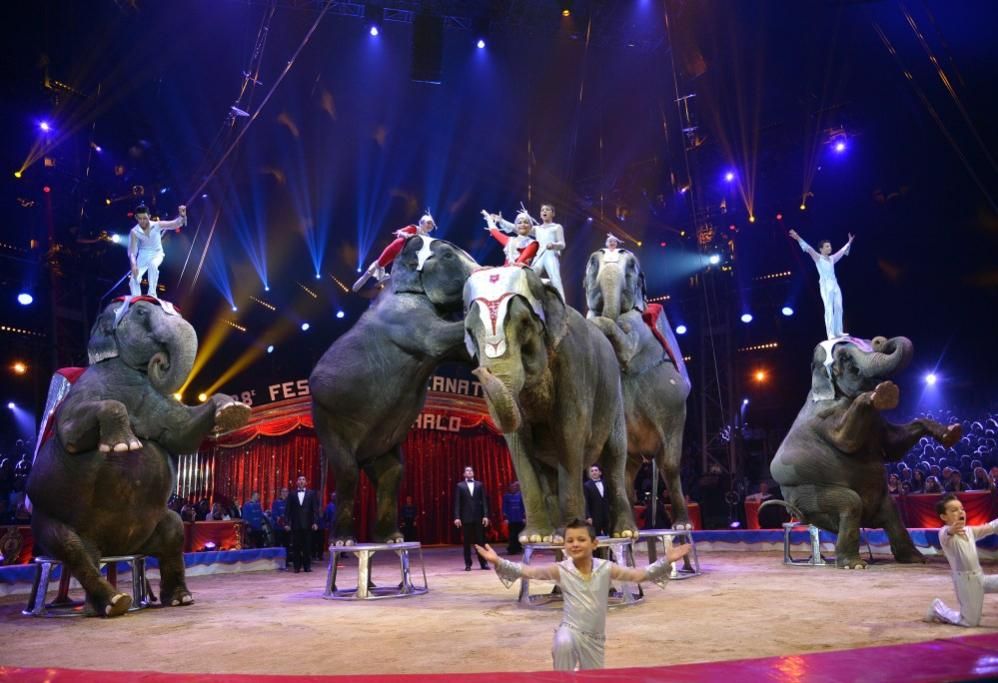 JEU077jpg--festival_internazionale_del_circo_di_monte_carlo___2014