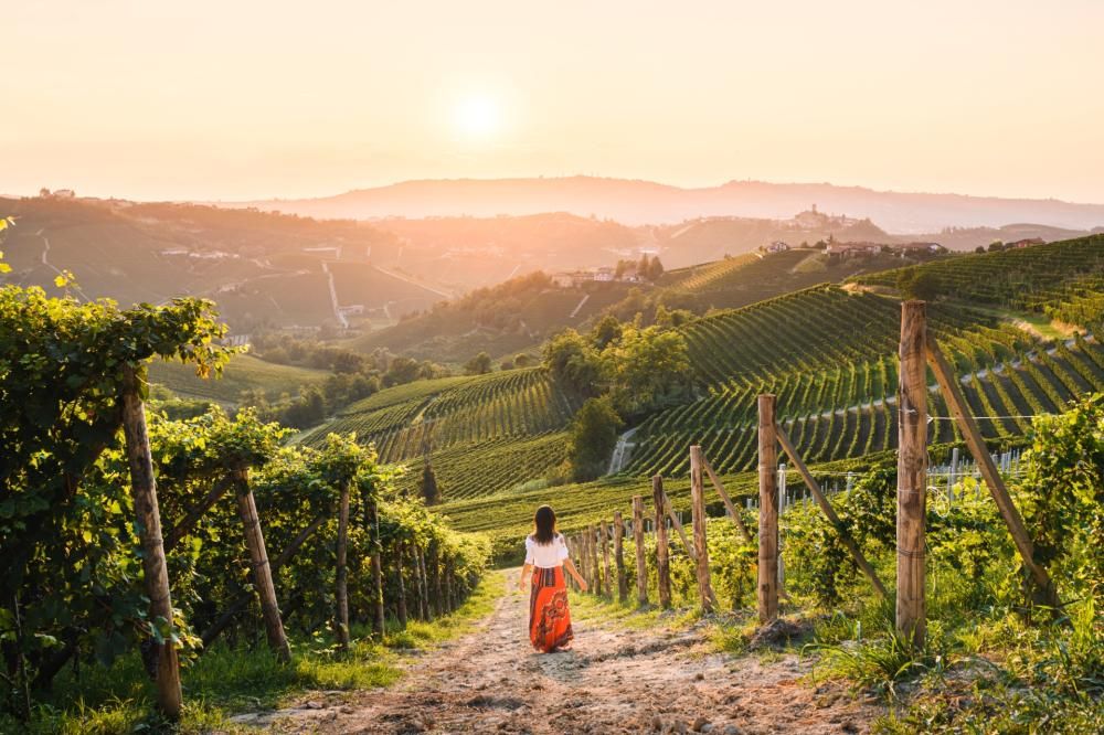 Langhe_Credits_VisitPiemonte__GettyImages-1594917619566jpg--