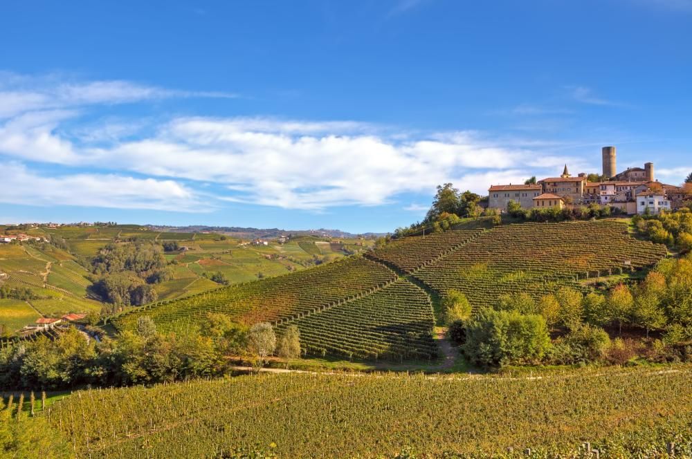 Langhe_Archivio_ATL_LangheMonferratoRoero-1594917614990jpg--