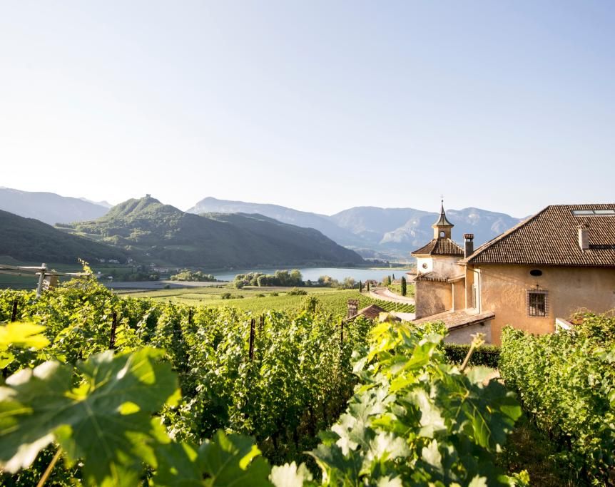 Lago_di_Caldaro_IDM_Alto_Adige_Alex_Filz-1595514576749jpg--