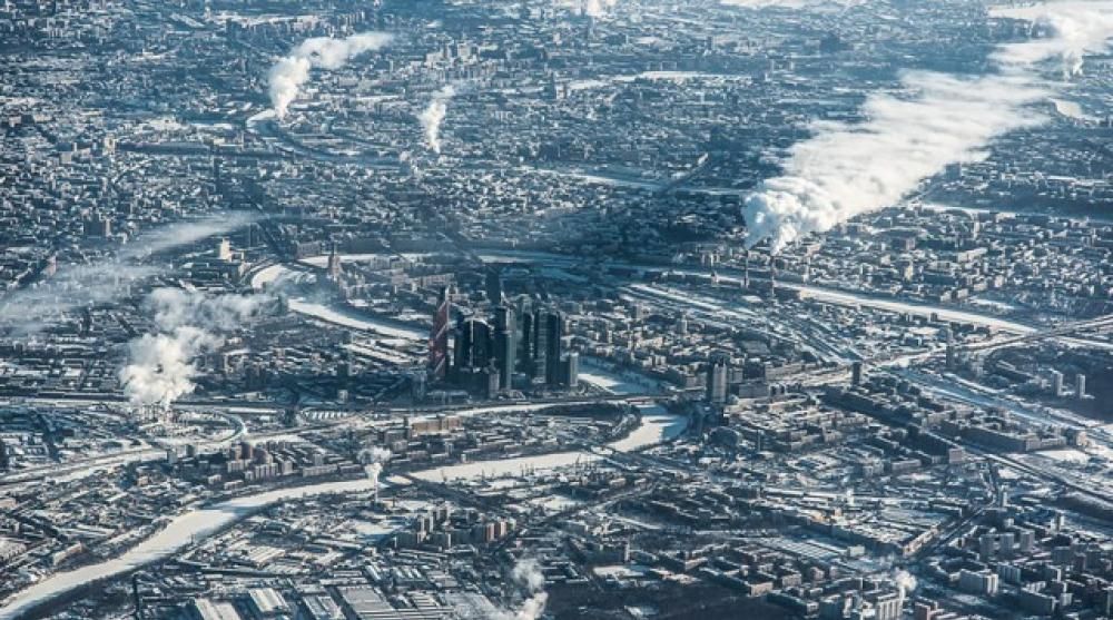 Moscajpg--mosca