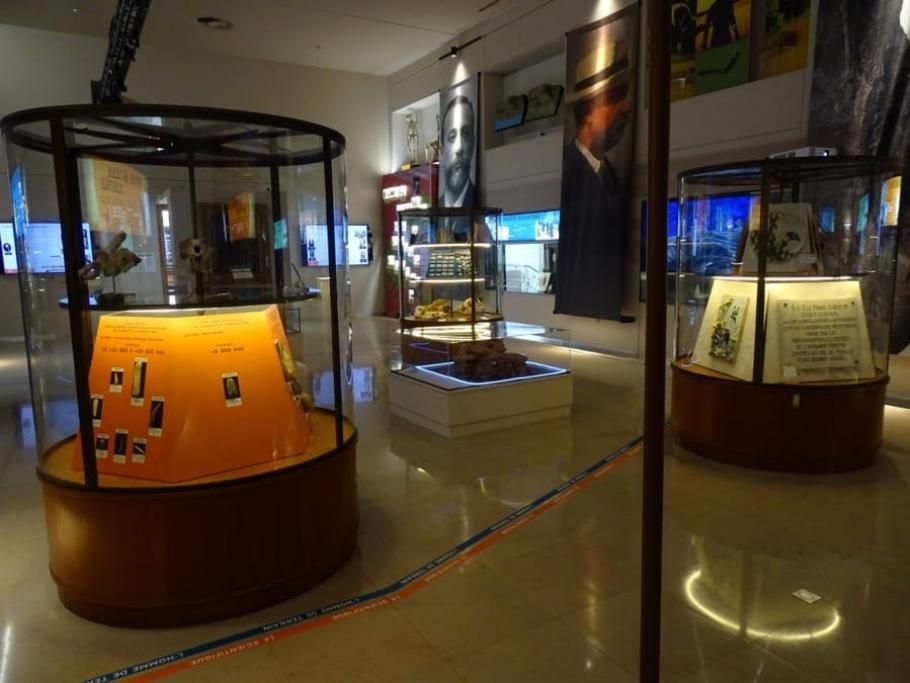 Museo_Antropologia_preistorica_di_Monaco-1695888135746jpeg--