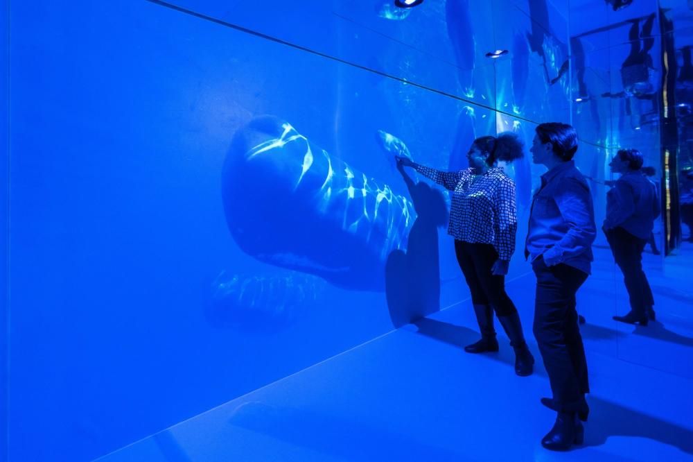 Museo_oceanografico-Esposizione_Rainier_III_institut_oceanographique_cedou__6_-1702565202370jpg--