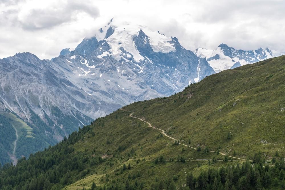 Parco_Nazionale_Stelvio_IDM_Alto_Adige_Helmuth_Rier-1595514584437jpg--