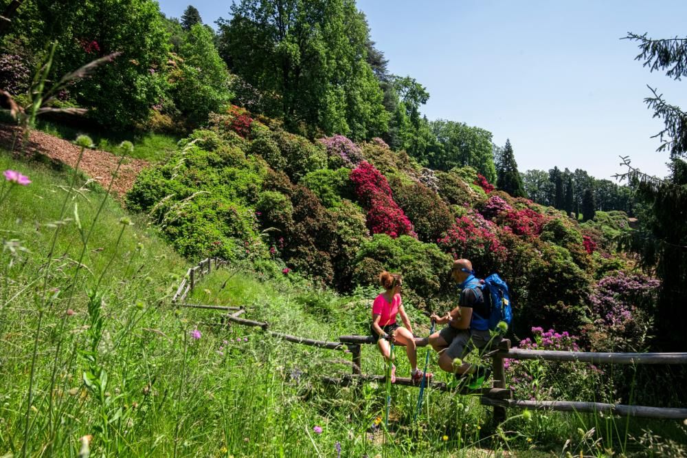 Parco_della_Burcina__Biella_Archivio_VisitPiemonte__GettyImages__GPerottino-1594917631390jpg--
