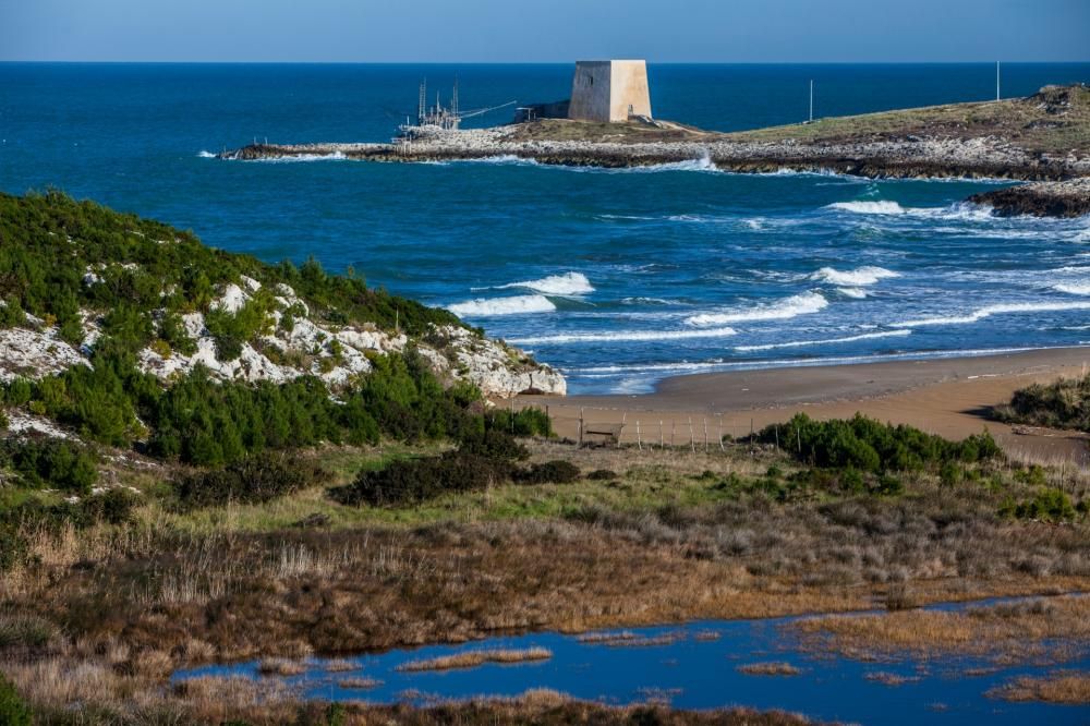 Peschici_Cala_del_Turco_ph_Carlos_Solito-1738339258654jpg--