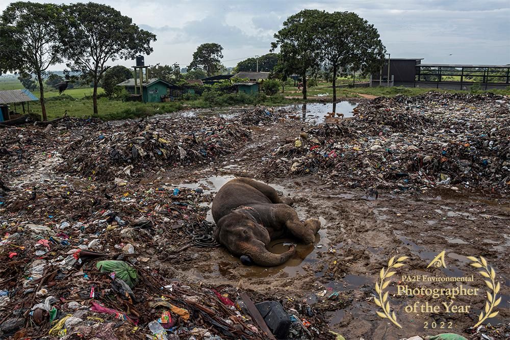 Premio_Foto_dell_Anno_Ambiente_Grand_winner_2022_Tears_Easa_Lebbe_Muhammed_Jamsith_copie-1655452107053jpeg--