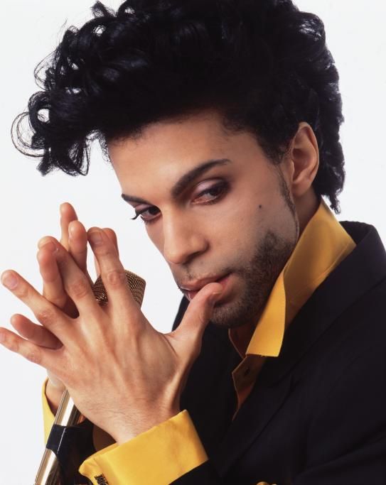 Prince_08-1697793471196jpg--