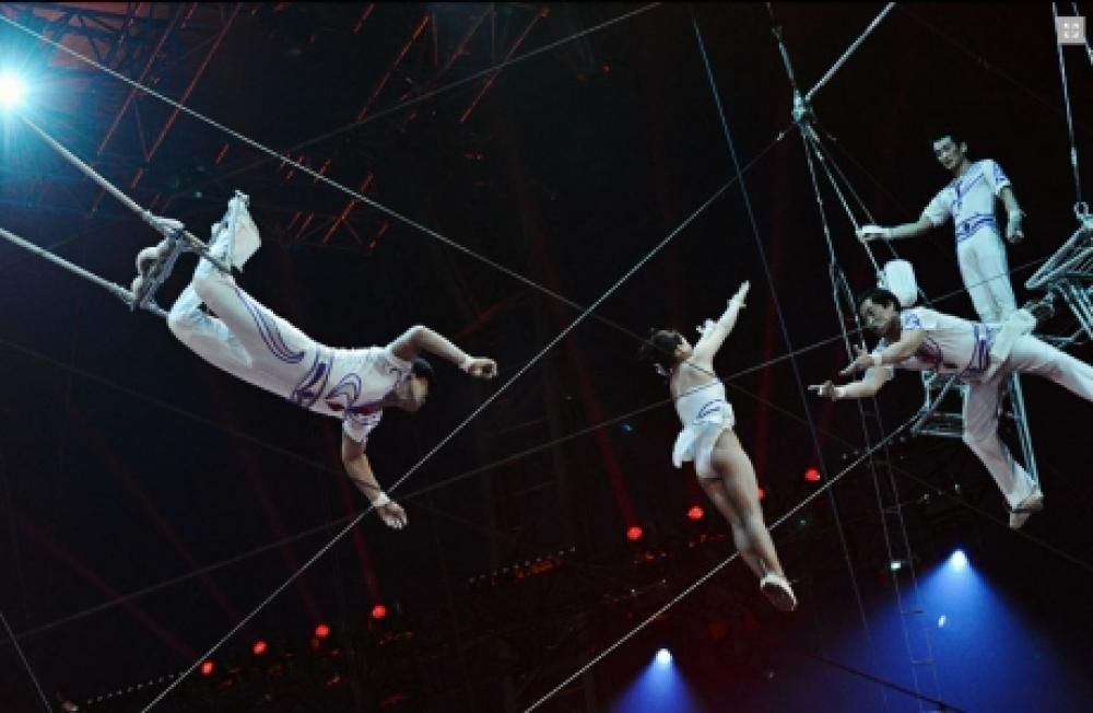 Schermata_2013-01-31_a_155752jpg--circo