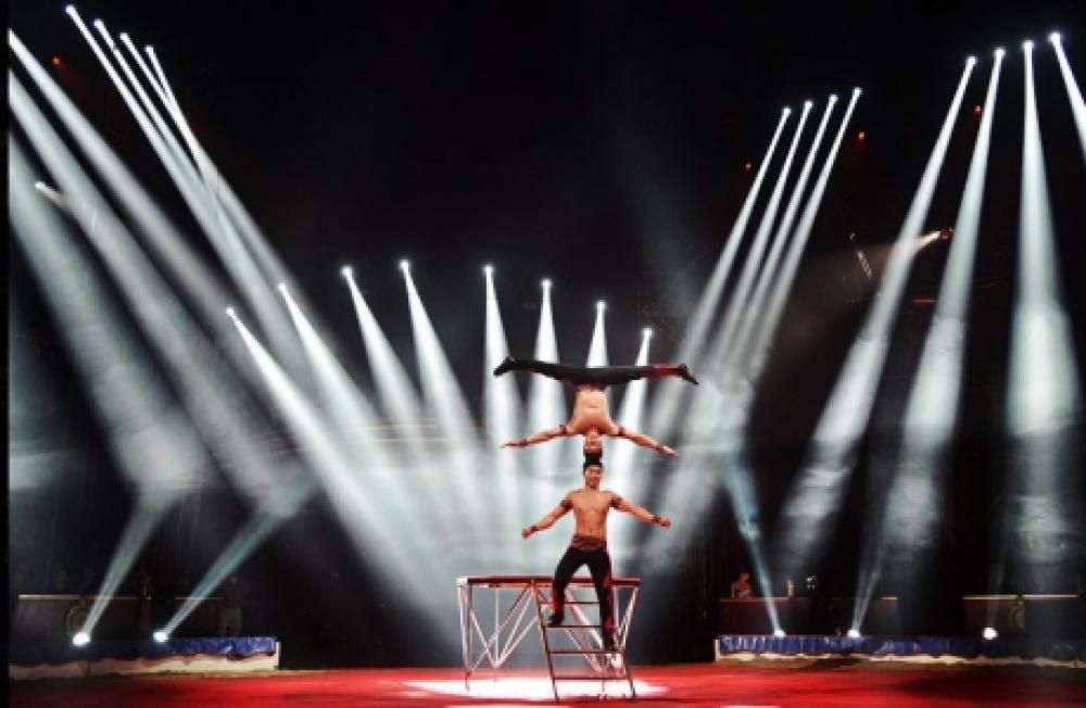 Schermata_2013-01-31_a_155854jpg--circo