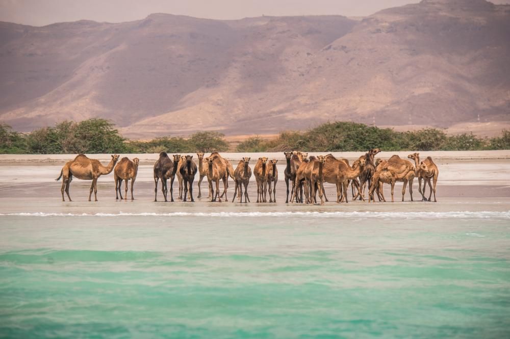 Salalah_Beach-1669193712572jpg--salalah_beach