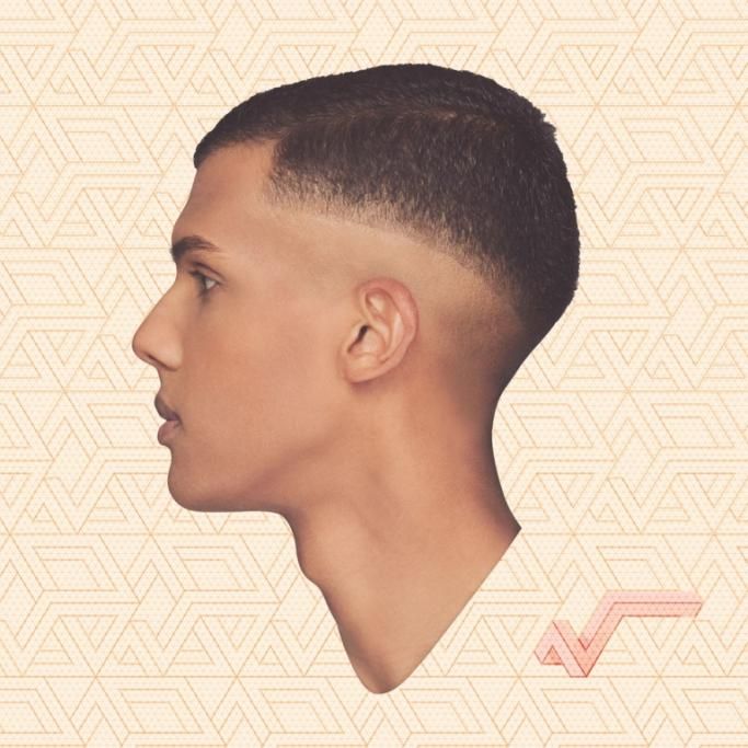 Stromae_Cover-album-Racine-Car_ejpg--stromae_cover_album_racine_caree