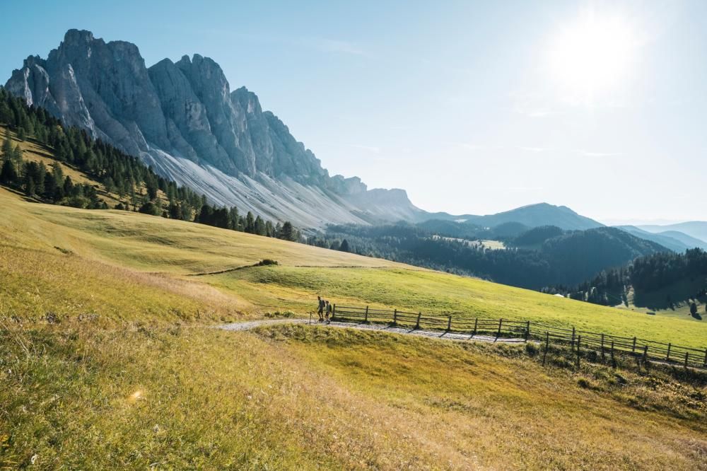 Val_di_Funes_IDM_Alto_Adige_Alex_Moling-1595514588116jpg--