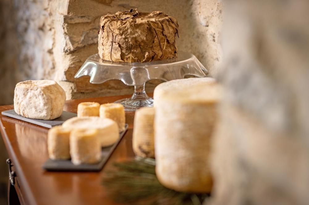 Valle_Tanaro_-_formaggi_-_Arch_ATL_del_Cuneese_-_ph_Guido_Mignone__30_-1710772817200jpg--