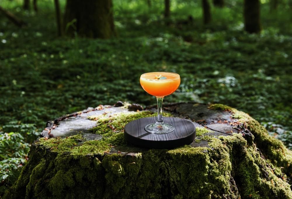 Quel bar nel bosco  è un vero incanto