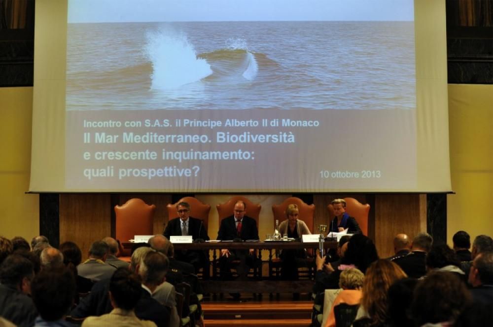 ZZ73394A13jpg--il_principe_alberto